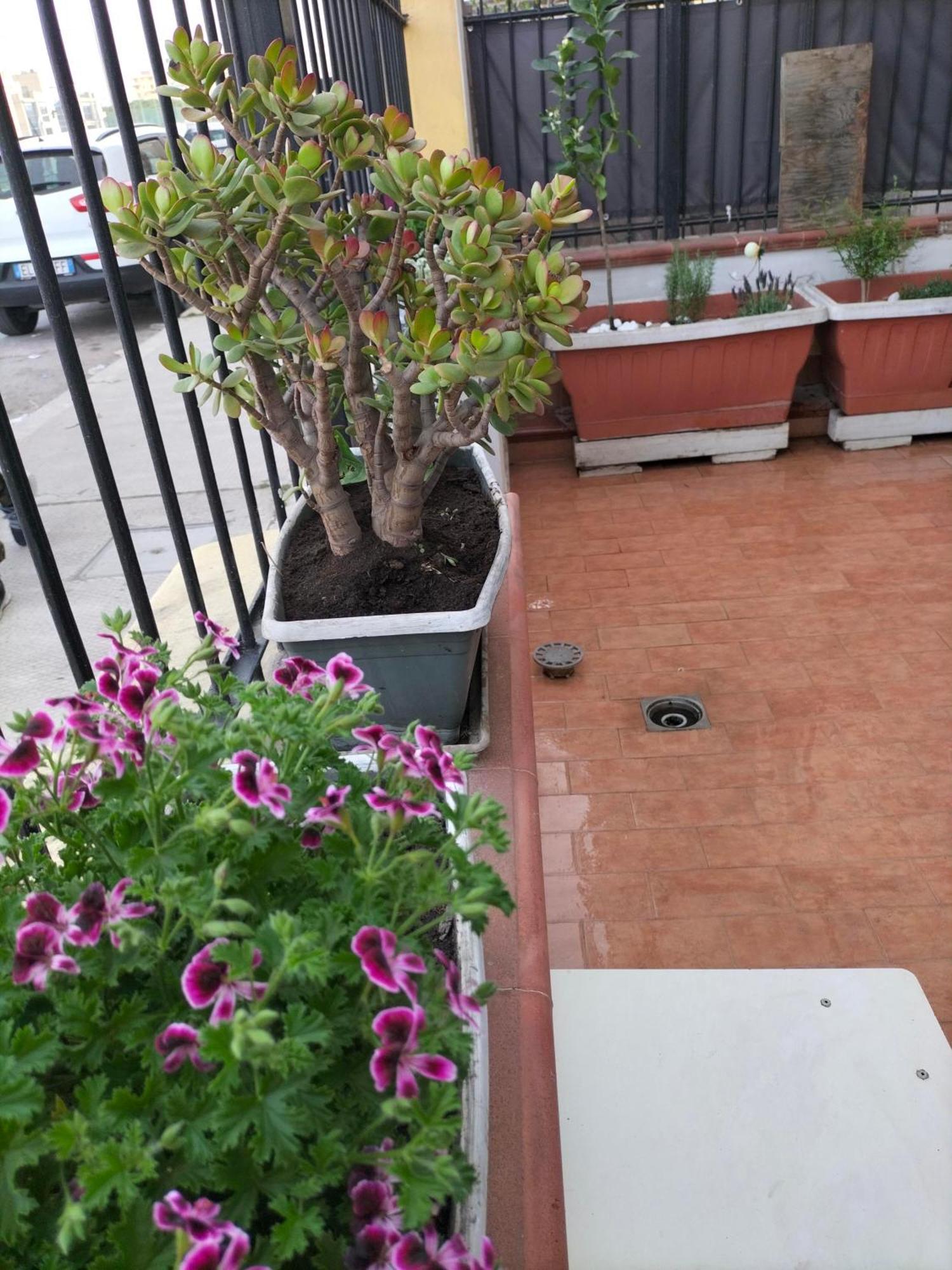 Ciuridda Mia Apartment Palermo Bagian luar foto