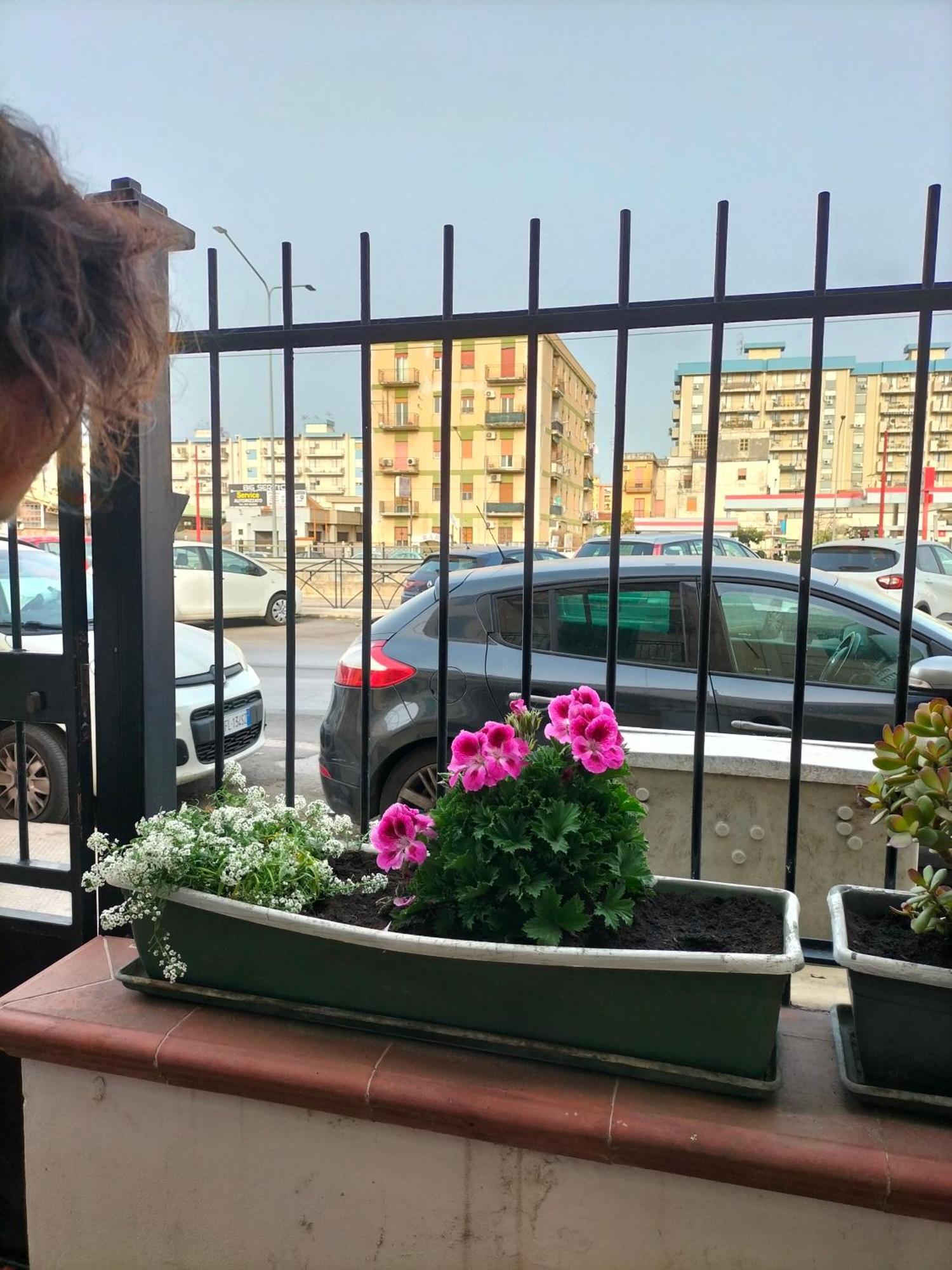 Ciuridda Mia Apartment Palermo Bagian luar foto