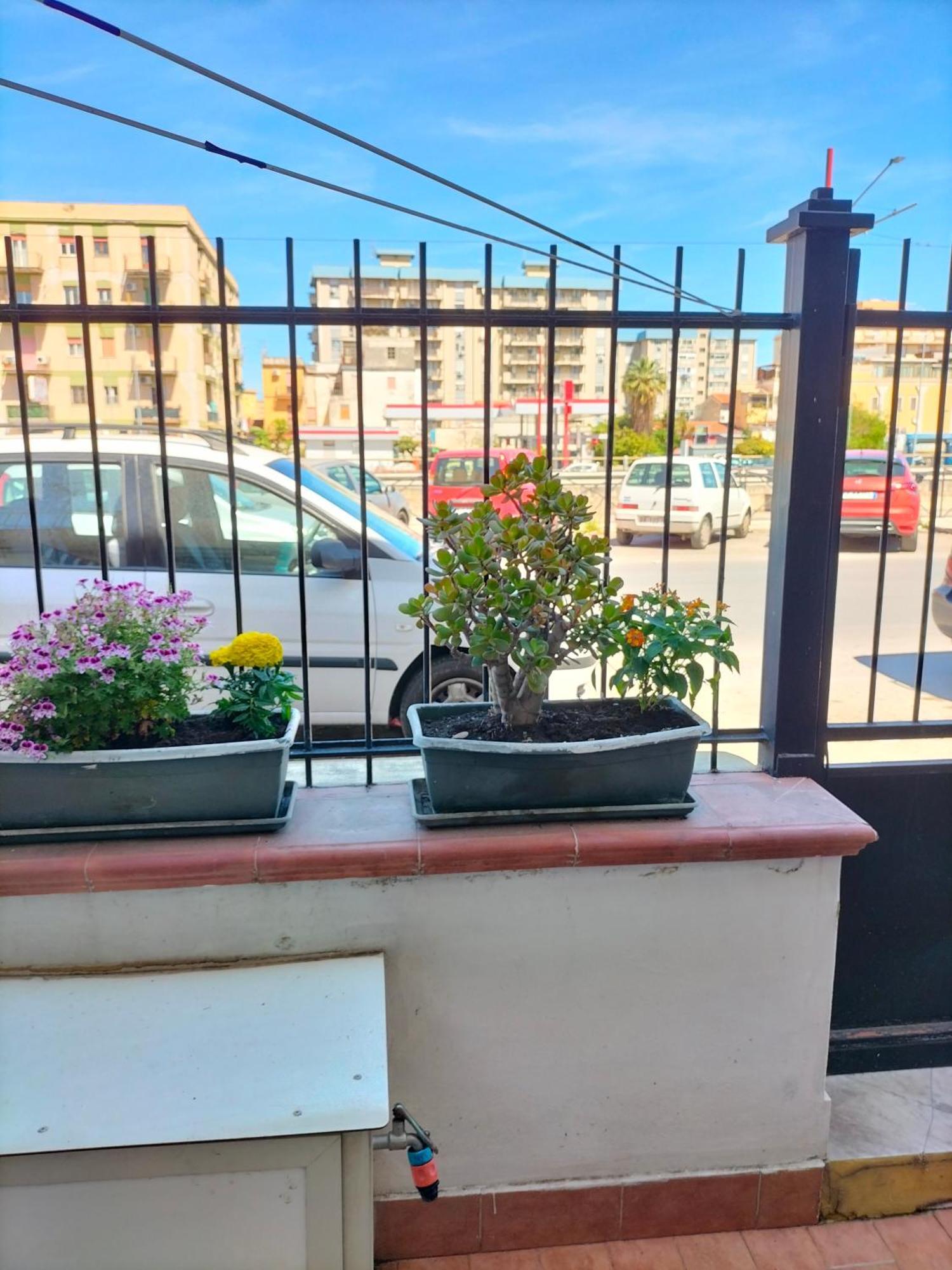 Ciuridda Mia Apartment Palermo Bagian luar foto