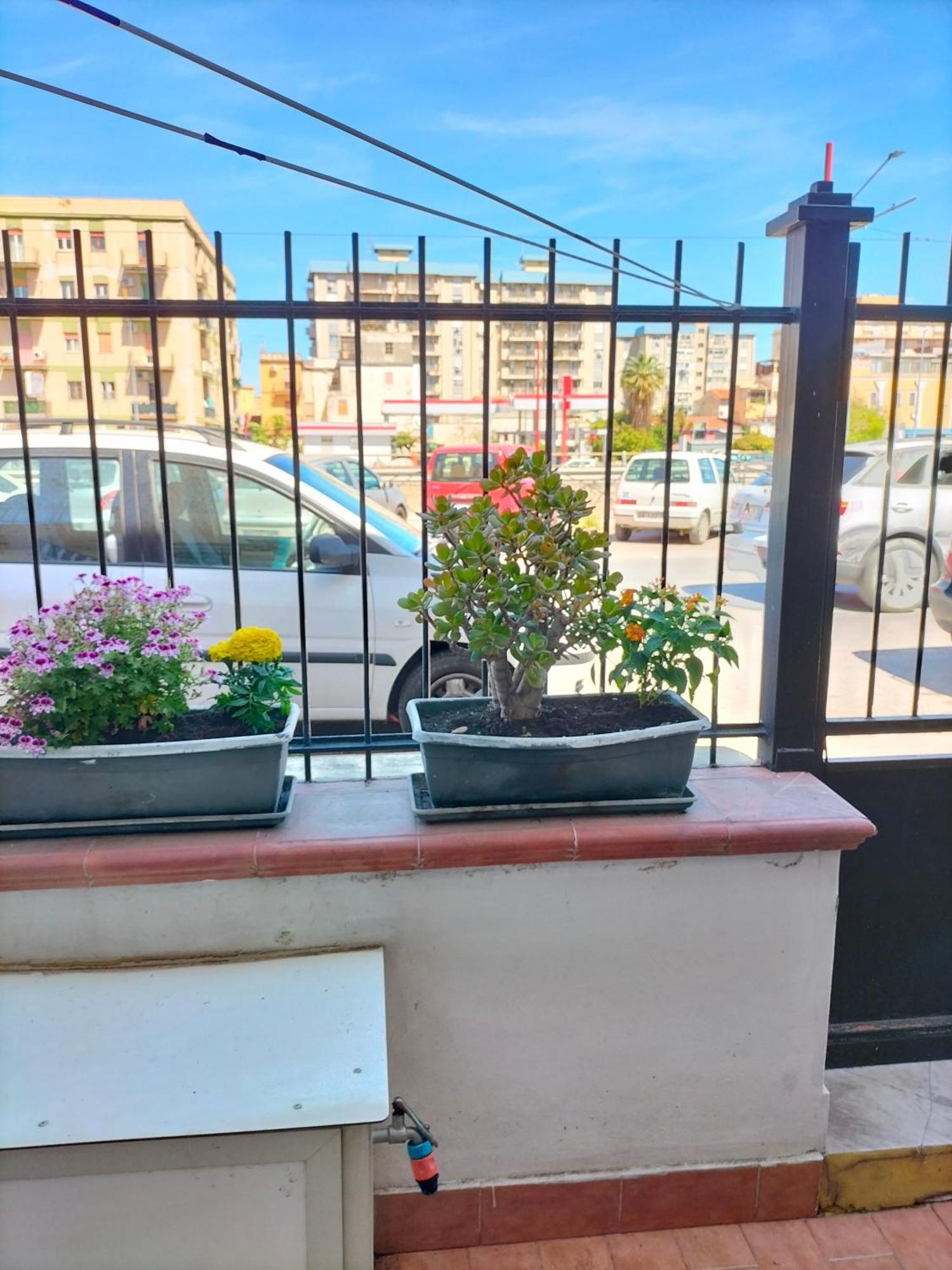 Ciuridda Mia Apartment Palermo Bagian luar foto
