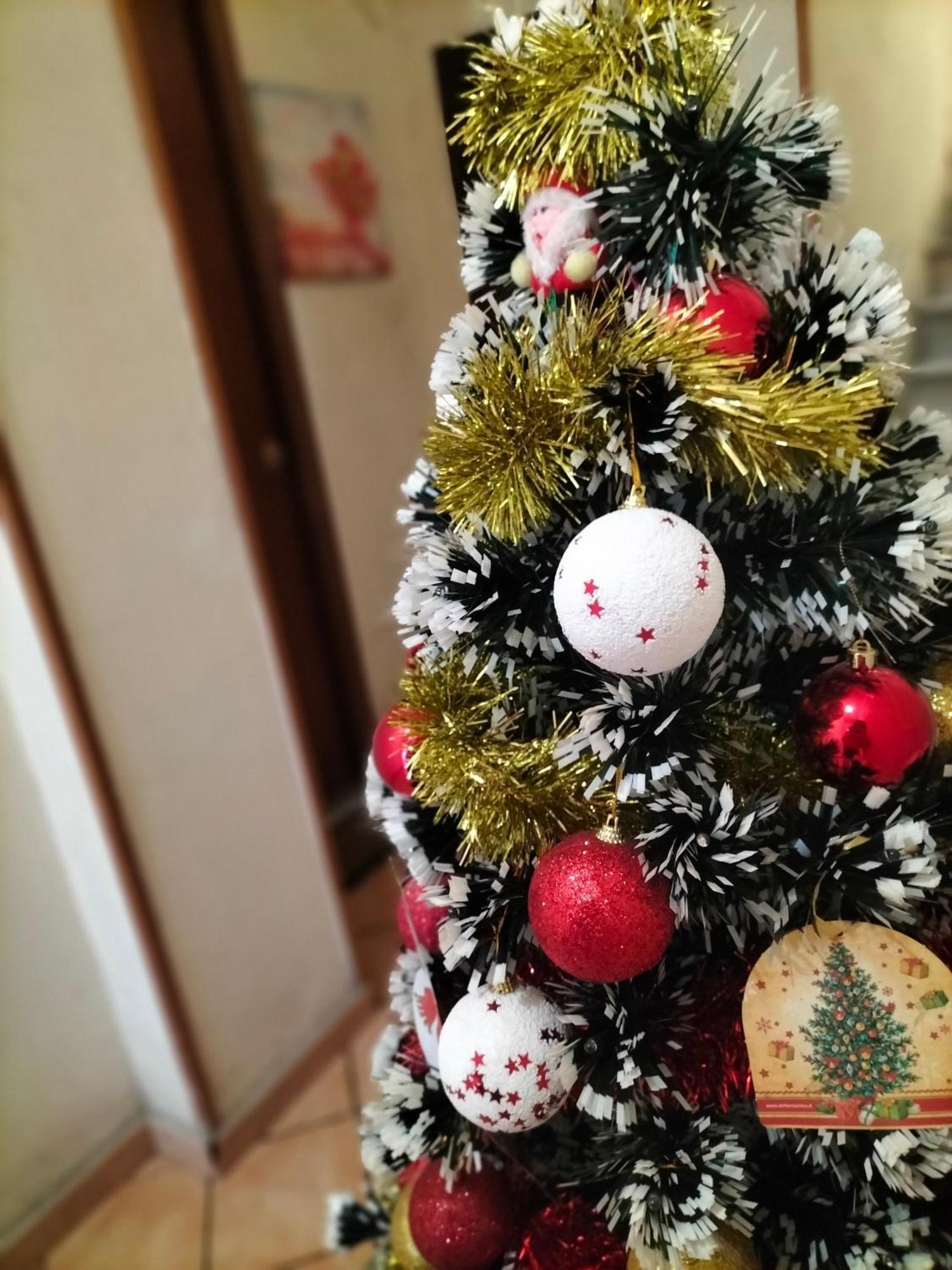 Ciuridda Mia Apartment Palermo Bagian luar foto